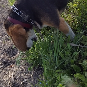鮮度は抜群の巻の画像