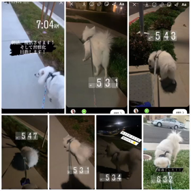 目標指向型の画像