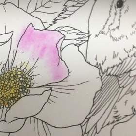 花と鳥の塗り絵の画像