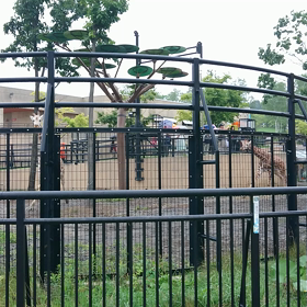 旭山動物園③の画像