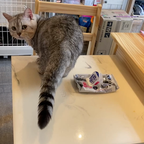 いくらちゃんの画像