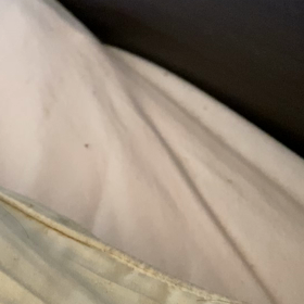 すぐにと、リサの画像