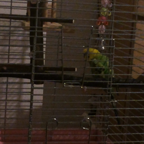 大好きだよ♩の画像