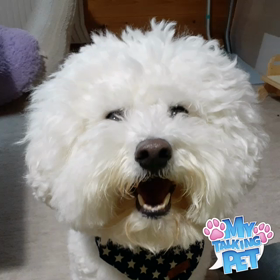 明けましておめでとうございますの画像