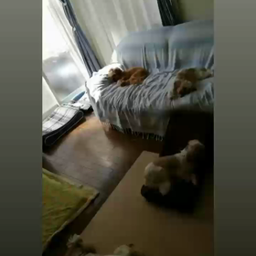 すやすや・・・☆彡の画像