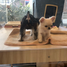 お店の中で動いてる姿を初めて見た時♡の画像