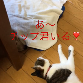 今日の2人、仮想通貨、メルカリ、郵便局。の画像