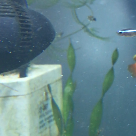 ハイドールフローディフレクターの画像