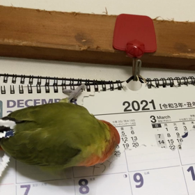 実家の父の所への画像