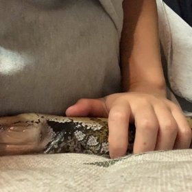 寝顔確保！の画像