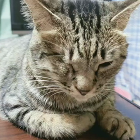 まだやるか(呆;)の画像