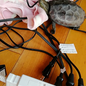 なかなかの画像