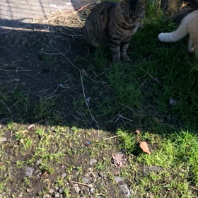 一週間ぶりの画像