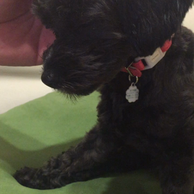 【真夜中】更新♪  やっぱり眠たい。音楽もなんか眠たくなる。の画像