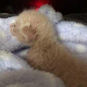 漏斗胸の未来くんの画像