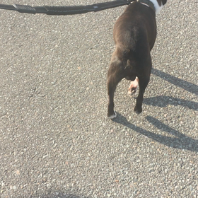 レベルアップ！の画像