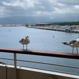 帰ってきたの画像
