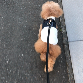 謹賀新年‼️の画像