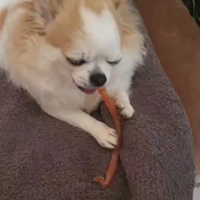 朝起きたら衝撃を受けた話の画像