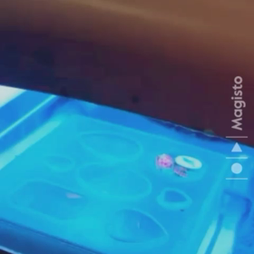 ☆ネイル工房☆の画像