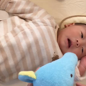 おしえてねの画像