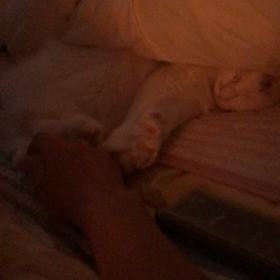 癒されるぅー╰(*´︶`*)╯♡の画像