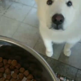 アピール上手☆の画像