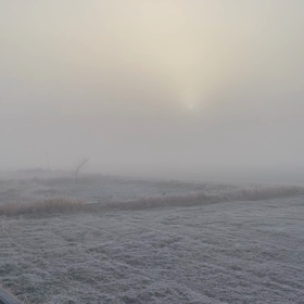 しろっ！の画像