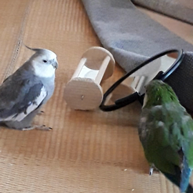 ちょっとずつ近づく③♪の画像