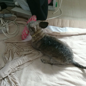 ダメな日の画像