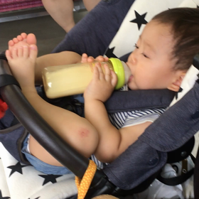 ただいまの画像