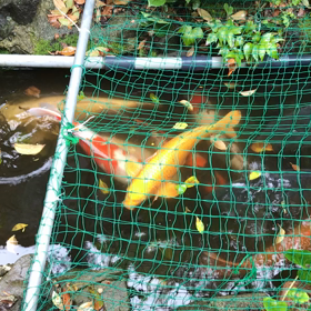 ［美登飯店］の閉店を惜しむ舞台関係の皆さま♫の画像