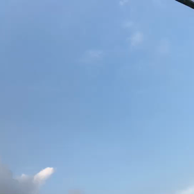 ♪お散歩動画♪代々木公園♪の画像