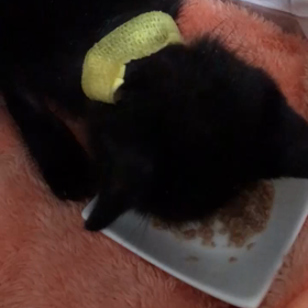 夜間救急の画像