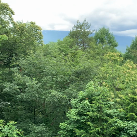 今の不二山の麓のエネルギーの画像