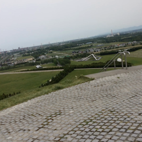 てっぺん独占の画像