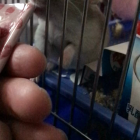 スローモーション2の画像