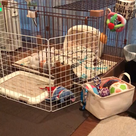 エアロのかくれんぼの画像