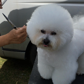舞洲のショーにルナ家でいきました〜☆の画像