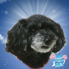 加工してみたの画像