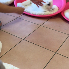 白✖️ 白の画像