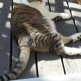 休日の土曜日の画像