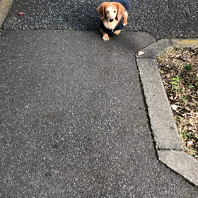 娘の彼と主人が対面記念日になるはずだったけど…の画像