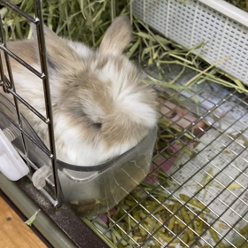 恒例の…の画像