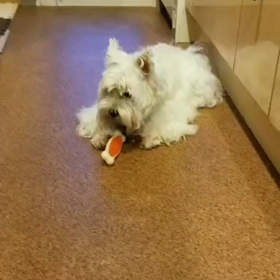 譲り合いの画像