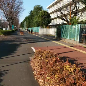 所走memories(2019-2020)162の画像