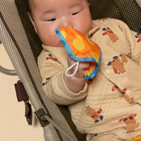 これは何だ？の画像