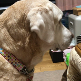 みかん…くらしゃい…byかものはしよもこの画像