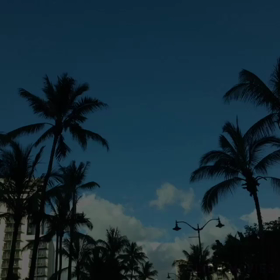 Hawaii ♡ Loveの画像