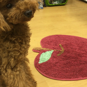 大変よく頑張りました。の画像